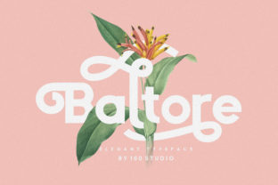 Baltore: A Sans Serif with Soul