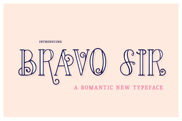 Bravo Sir Family: A Practical Evaluation for Designers