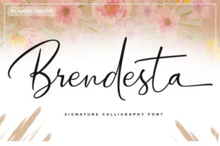 Brendesta: A Signature Font That Feels Handwritten