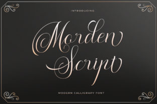 Morden Script: A Balanced Evaluation for Designers and Typographers