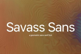 Savass Sans: Clean, Confident, and Versatile